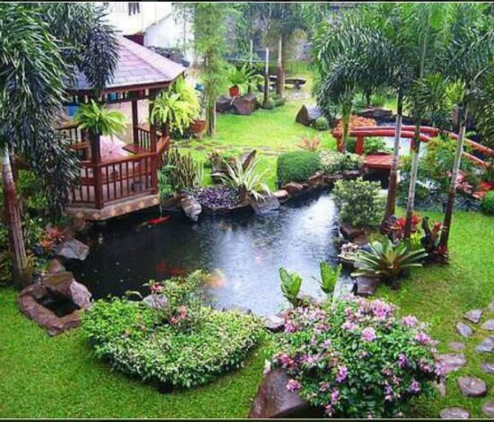 Landscape design company in dallas