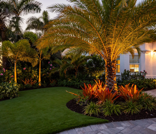 Landscape design company in dallas