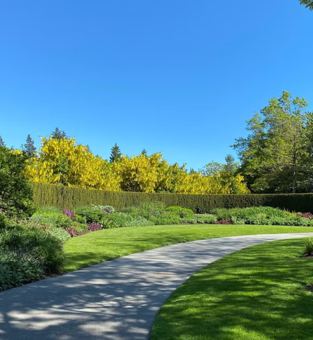 Landscape design company in dallas