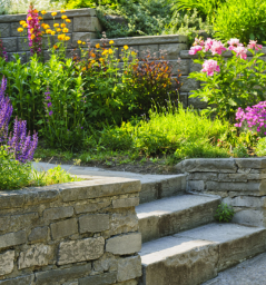 Hardscape Design in Dallas,Texas