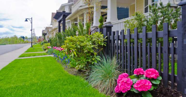 Landscape Design Dallas