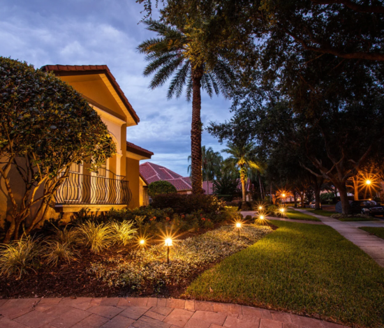Landscape Lighting Installation in Dallas