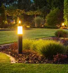 Landscape Lighting Installation in Dallas
