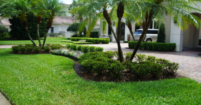 Landscape Design Dallas