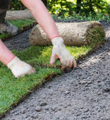 Sod Installation in Dallas
