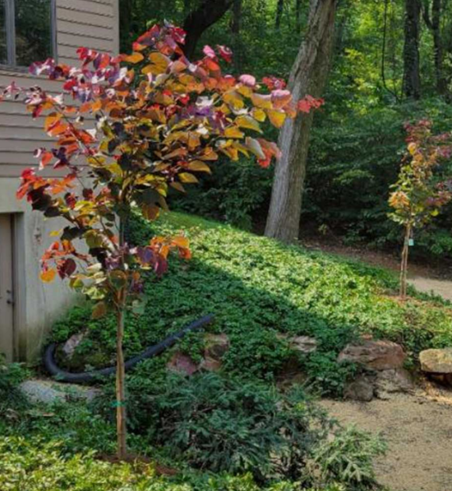 Drainage System Installations and Repairs
