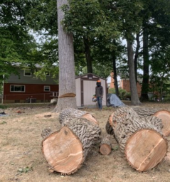 Drainage System Installations and Repairs
