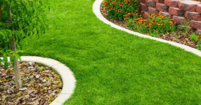 Sod installation Dallas
