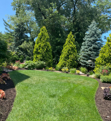 Landscape design company in dallas