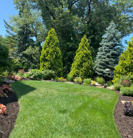 Landscape design company in dallas