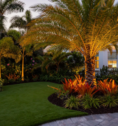 Landscape design company in dallas