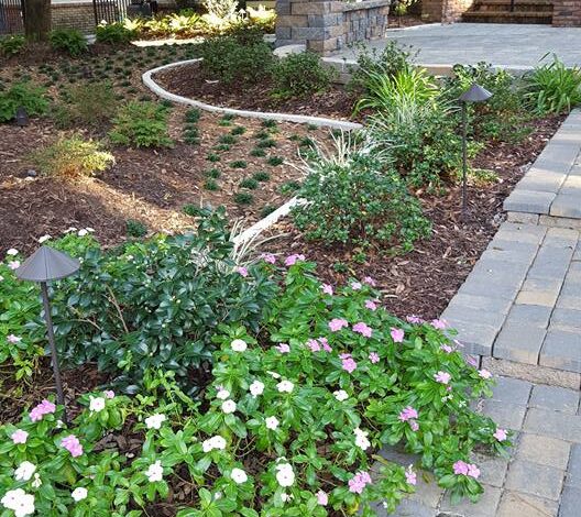 Landscape design company in dallas